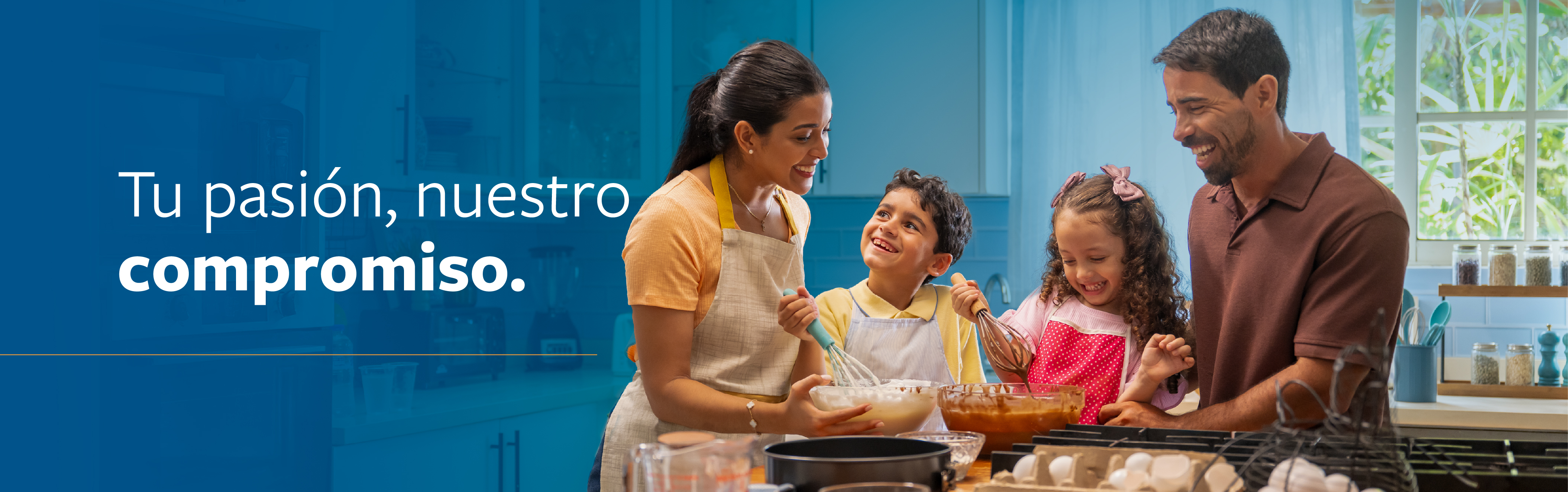 Campaña Institucional Mercadeo Banner Pagina Web