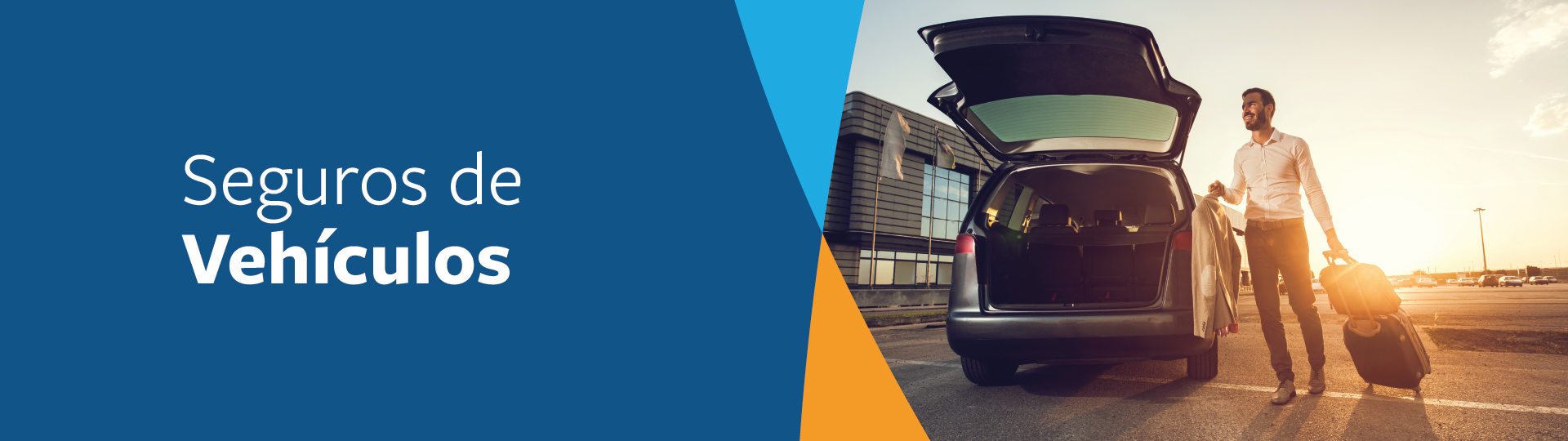 Banner Web Seguros De Vehículos ?? 